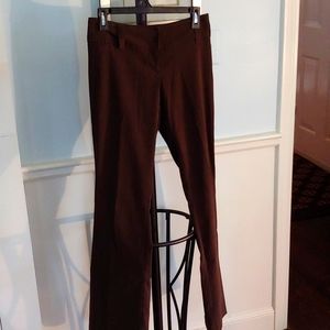 Size 3 Chocolate Brown Sueded Dress Pants